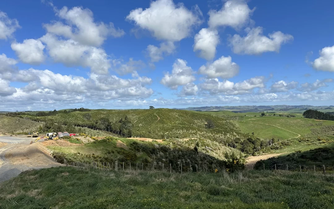 Now Accepting Managed Fill