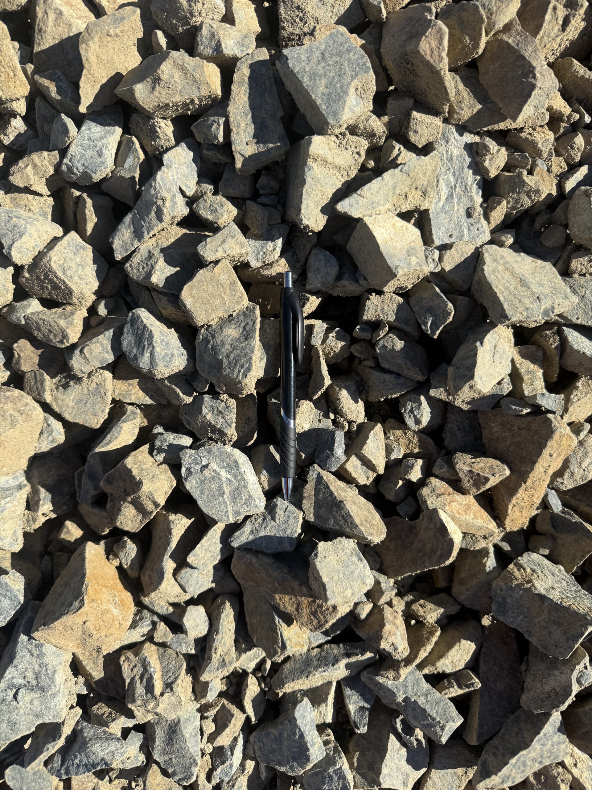 ATAP 65 (Manarc 65)